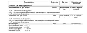 Антитела к хгч igG повышены