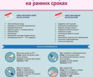 На каких сроках определяют беременность?
