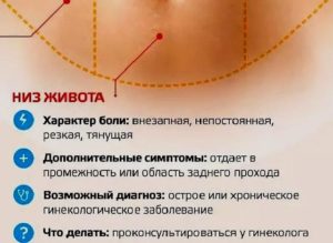 Боли внизу живота на 5 день цикла