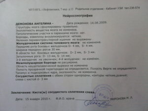Расшифровка узи головного мозга