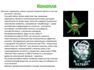 Употребление марихуаны и галлюцинации