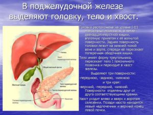 Увеличение хвоста поджелудочной железы