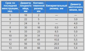 Ктр и свд на 9 неделе беременности