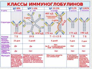 Показатели IgG и IgE