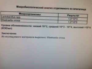 Бак посев мазка при беременности