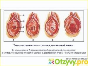 Растянут ли гимен