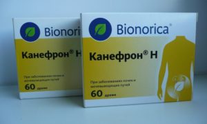 Канефрон вместе с антибиотиками