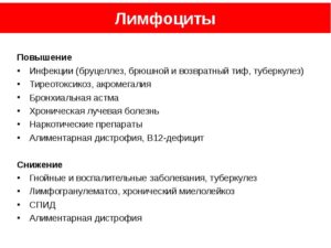 Повышены лимфоциты