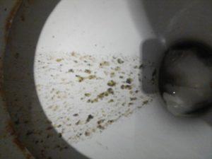 Рвота с запахом тухлых яиц