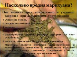 Употребление марихуаны и галлюцинации
