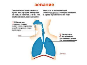 Не могу вздохнуть полными лёгкими
