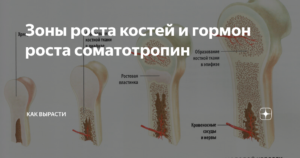 Онанизм и ускорение закрытия зон роста костей