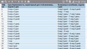 Диаметр плодного яйца 12 мм срок беременности какой?