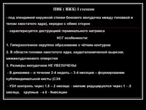 ПВК 1 степени