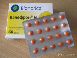 Канефрон вместе с антибиотиками