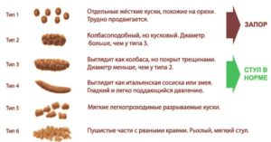 Запор у грудничка ферталь