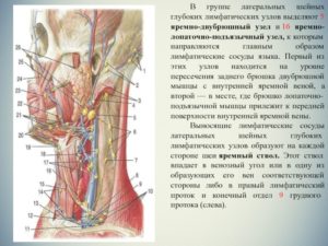 Яремные лимфоузлы